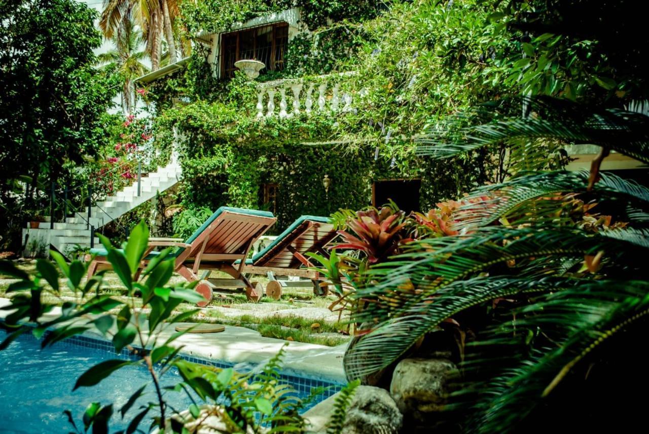 Villa Carolina Bed And Breakfast プエルト・プラタ エクステリア 写真