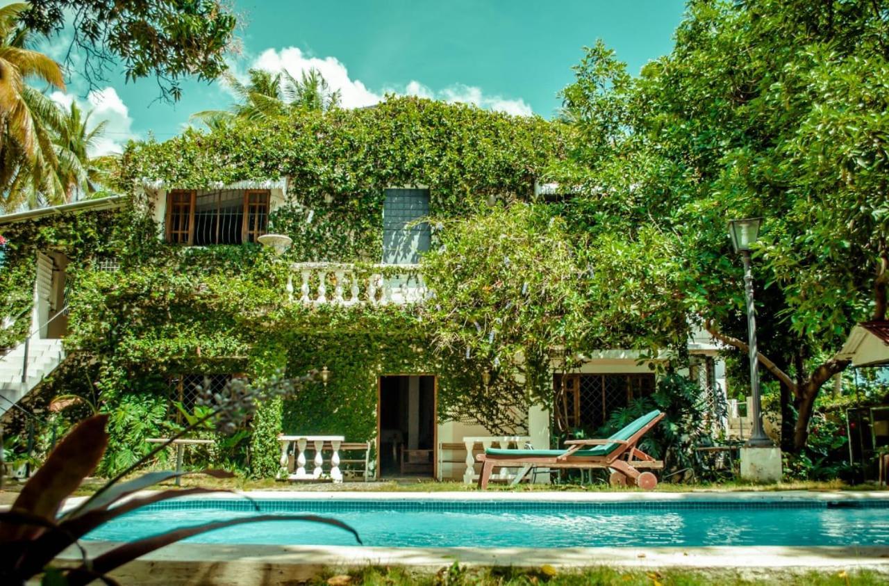 Villa Carolina Bed And Breakfast プエルト・プラタ エクステリア 写真