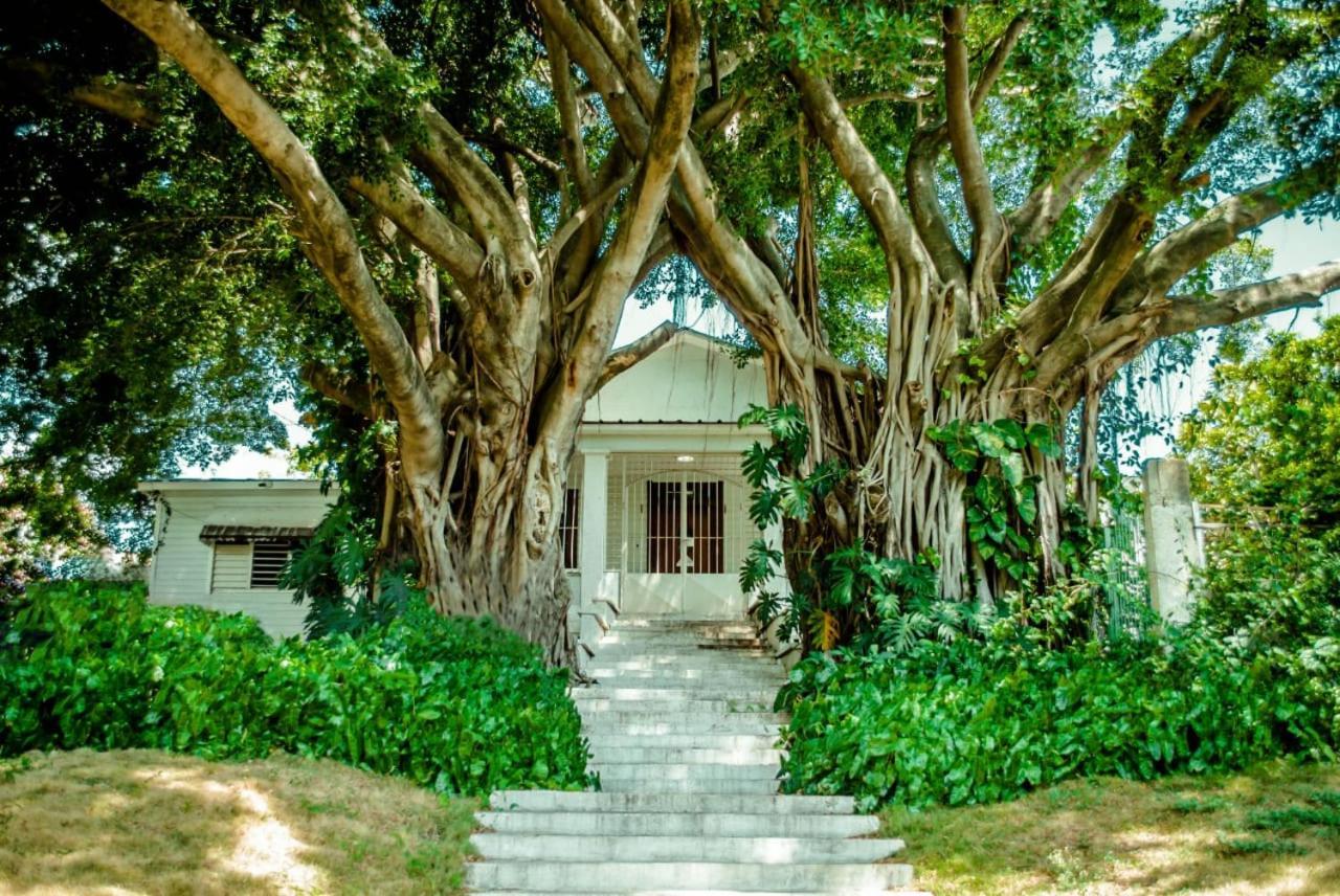 Villa Carolina Bed And Breakfast プエルト・プラタ エクステリア 写真