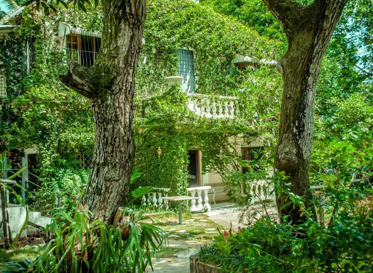 Villa Carolina Bed And Breakfast プエルト・プラタ エクステリア 写真