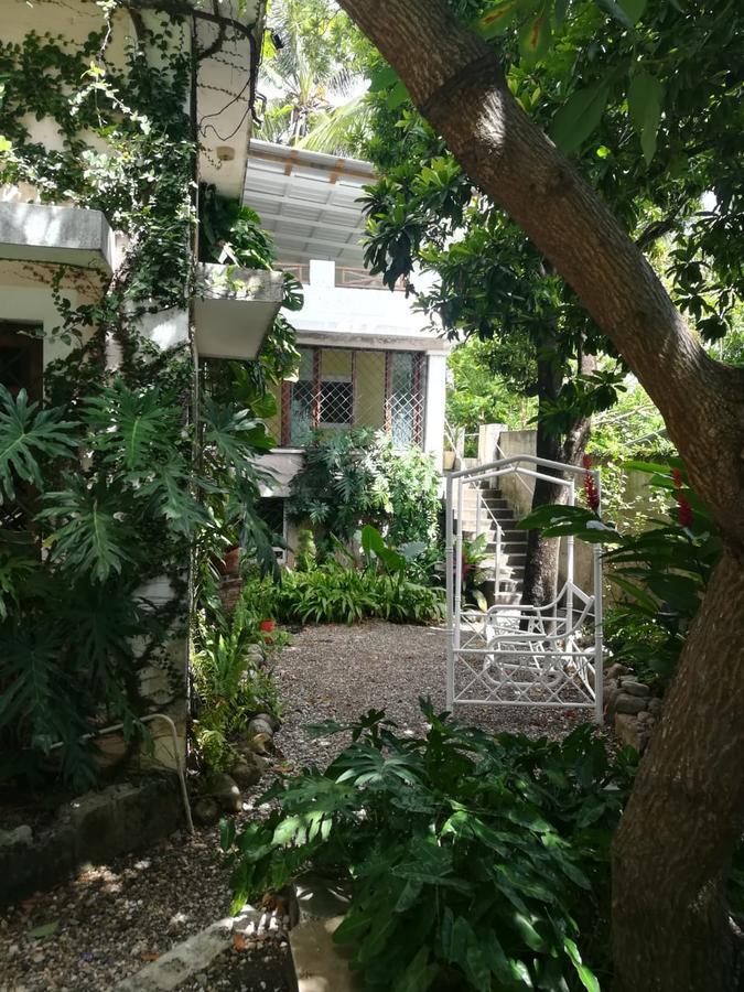 Villa Carolina Bed And Breakfast プエルト・プラタ エクステリア 写真