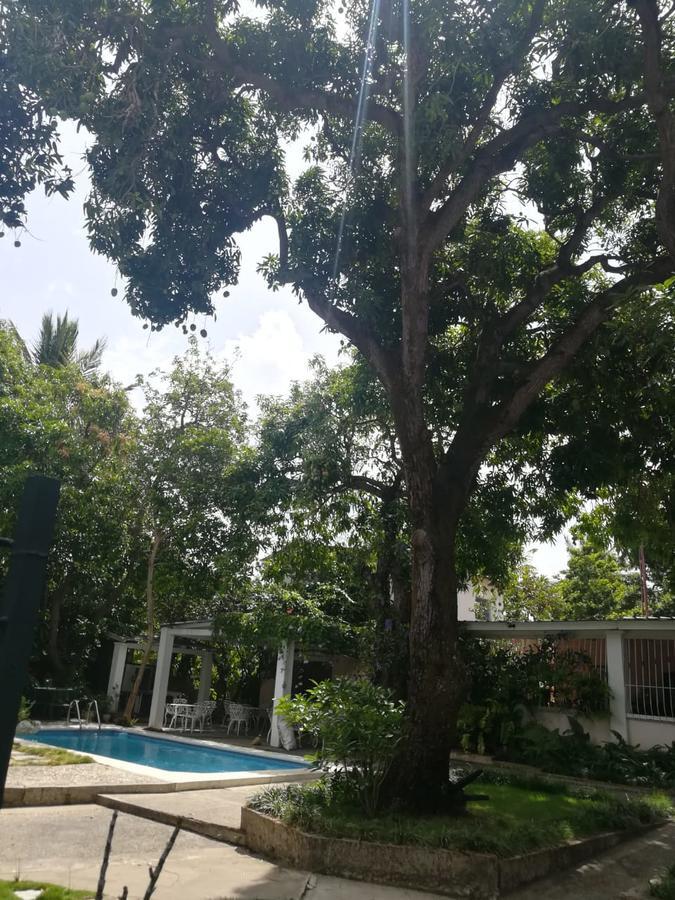 Villa Carolina Bed And Breakfast プエルト・プラタ エクステリア 写真