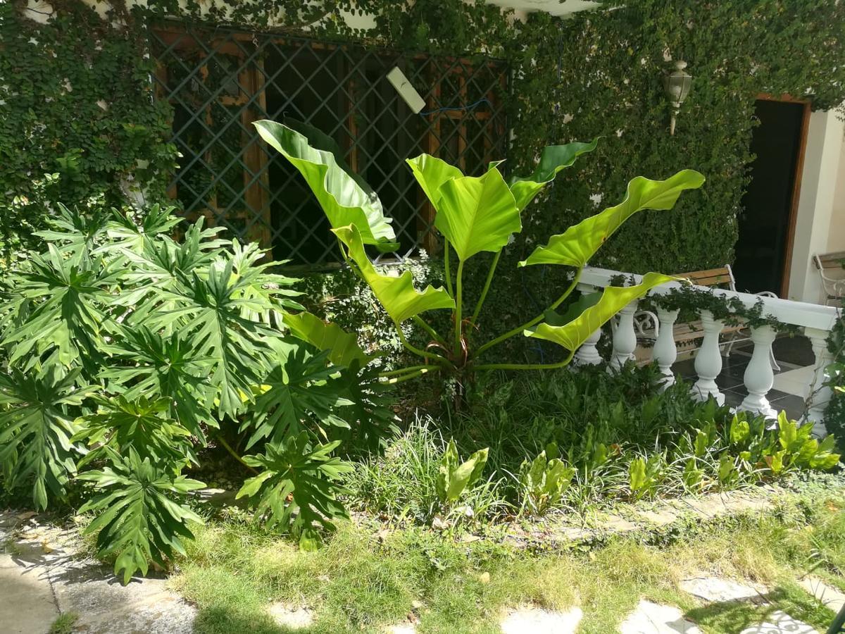 Villa Carolina Bed And Breakfast プエルト・プラタ エクステリア 写真