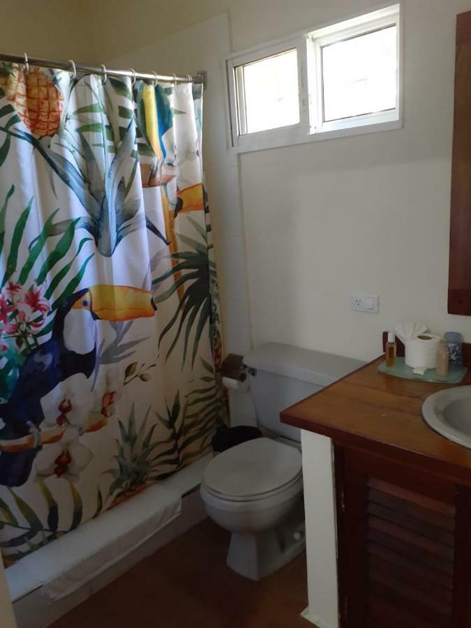 Villa Carolina Bed And Breakfast プエルト・プラタ エクステリア 写真